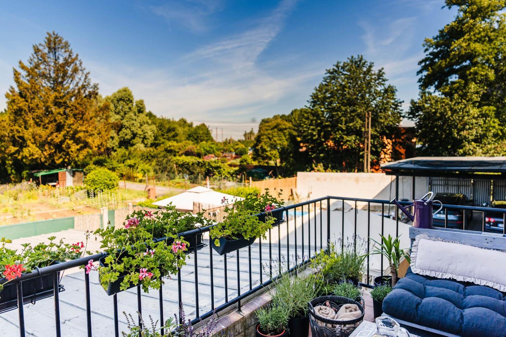 Silvie Apartments - Lazecka Olomouc Eksteriør billede